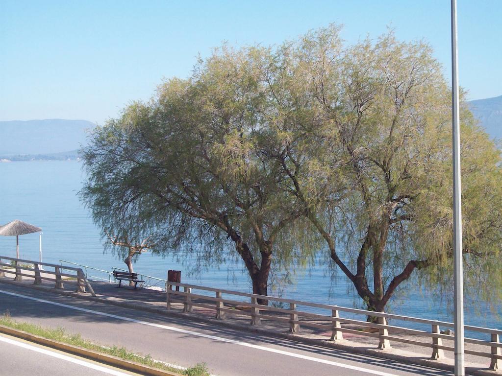 Olga Otel Agios Konstantinos  Dış mekan fotoğraf